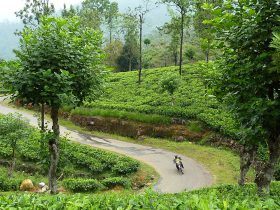 vietnam motorcycle tours mountains and beaches the best of Sri Lanka 1 280x210