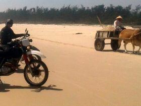 vietnam motorcycle tours hoi an to Ho Chi Minh city 1